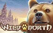 wild-north